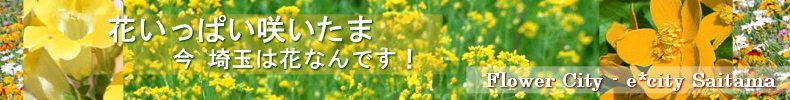 花いっぱい咲いたま - 埼玉県の花特集