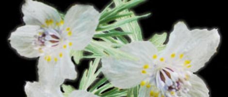 �ߕ�����