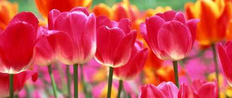 �����p���͐�~