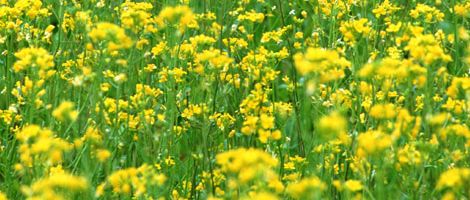 ������͐�~�Βn����