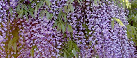 �������ԉ�