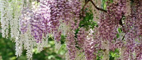 �v�ɓ��_��