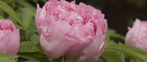 �엢�_�ƌ��C�Z���^�[