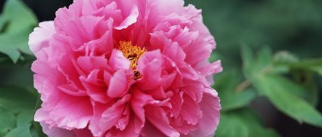 �����R�ڂ���