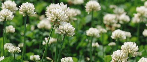 �_�Ƃӂꂠ���Z���^�[