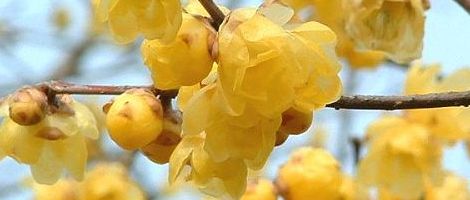 ��o�R���E�o�C��