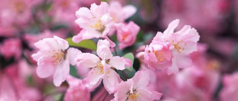 �������`����ԓ��H