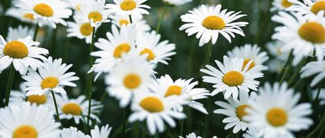 ��V������