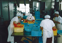 調味料