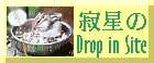 ␯Drop in Site